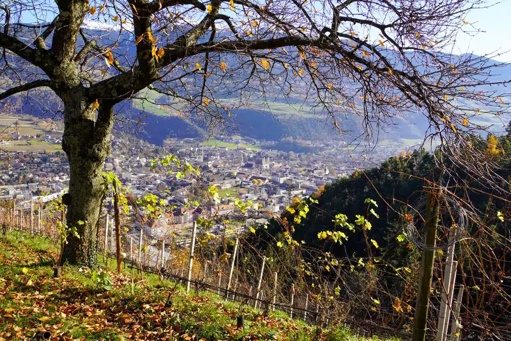 Gruppenreisen Wandern Herbst Kastanienweg.jpg